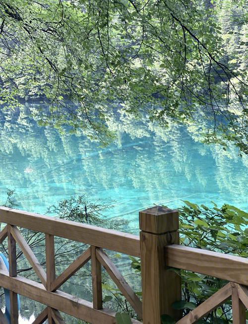 2021年九寨沟全部开放了吗?