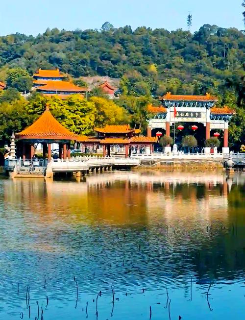 台湾桃园有哪些好玩的景点(台湾桃园相当于大陆哪里)