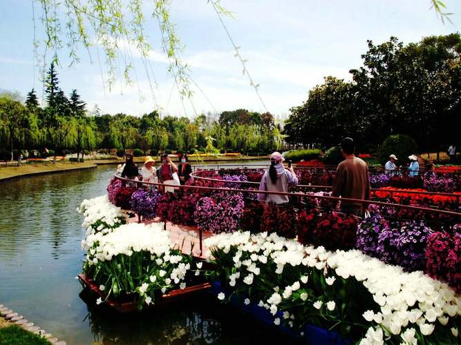 上海鲜花港即将开展郁金香花展(上海鲜花港即将开展郁金香花展览)