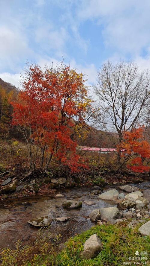 洋湖沟景点(洋湖沟湖里一日游攻略)