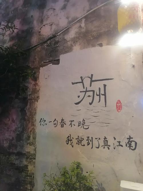 天津到苏州跟团游(天津到苏州旅游)