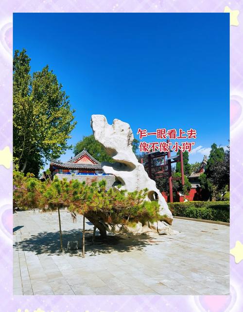 河北吴桥杂技:周末必看(河北吴桥杂技大世界免费吗)