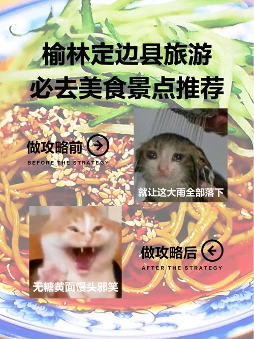 介绍定边景点(介绍定边美景作文)