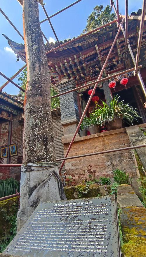 巍宝山景点图(巍宝山景点图片)