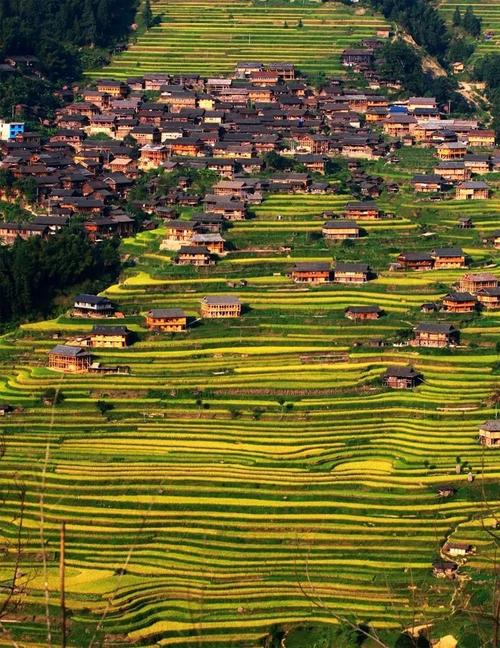 布依族自治州 黔南布依族自治州