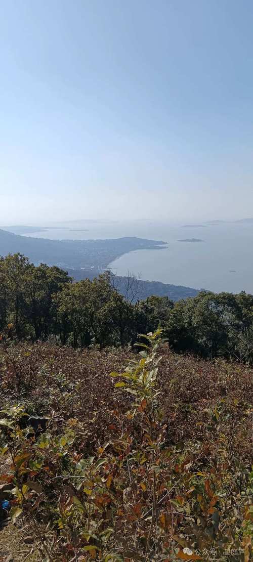 苏州东山一日游必去景点(苏州东山一日游必去景点推荐)