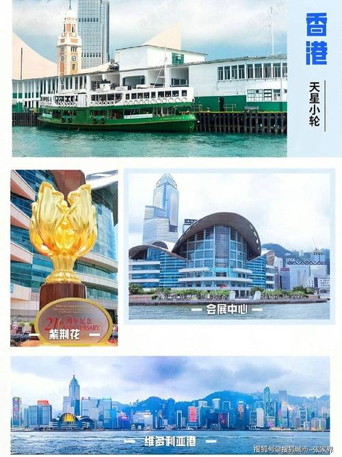 去香港澳门旅游感想(去香港澳门旅游)
