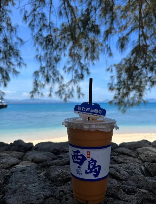 广州到三亚自由行攻略(广州到三亚自由行攻略图)