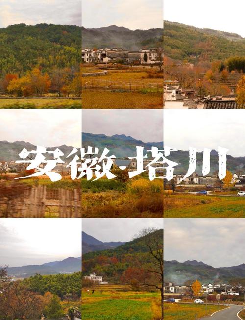 冬天的塔川景点怎样(塔川旅游景点介绍)