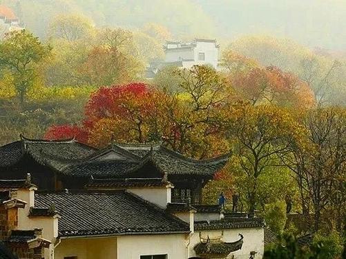 冬天的塔川景点怎样(塔川旅游景点介绍)