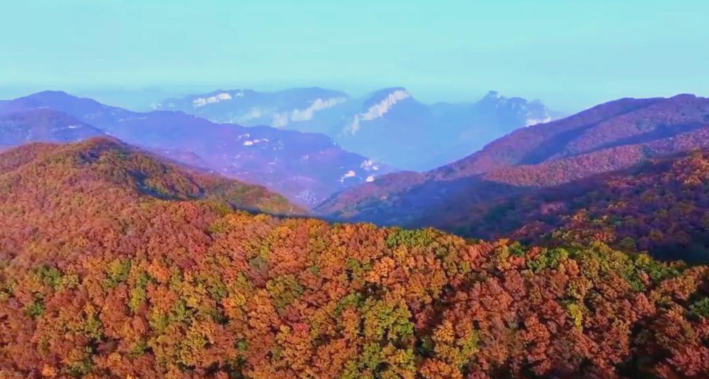 石家庄太行山秋色美(石家庄太行山区红叶美景)