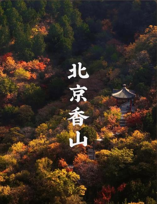 香山附近公园有哪些景点(香山附近公园有哪些景点可以玩)