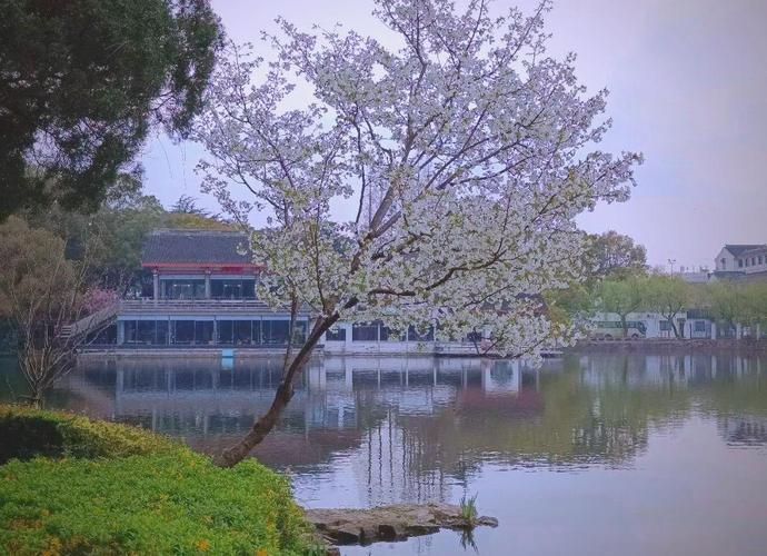 苏州东园有哪些景点(苏州东园有哪些景点好玩)