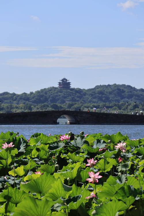 苏杭旅游景点有哪些(苏杭旅游景点有哪些地方)