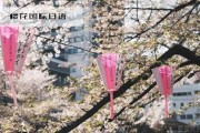 日语学习有困难 记住樱花国际日语说的这几点