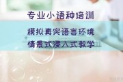 模拟小语种学习场景 乐语总是让人意想不到