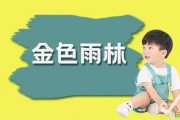 家长必看：金色雨林感统训练扫清孩子成长障碍