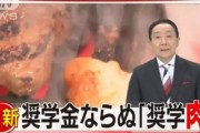 无锡樱花日语带你走进日本的“奖学肉”政策