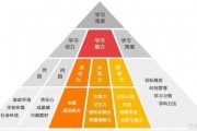 金色雨林综合学习力训练 助力孩子能力提升