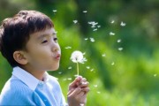 幼小衔接三桥一外课程体系 牛家班教育满足你
