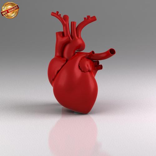 3D心脏模型的构建