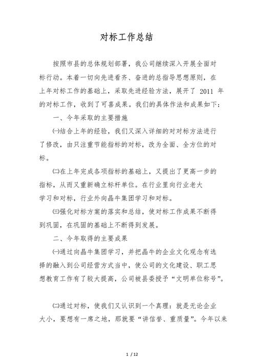 安全对标实施总结