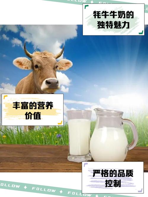 不同加热方式和添加剂对牦牛肉糜品质影响的研究
