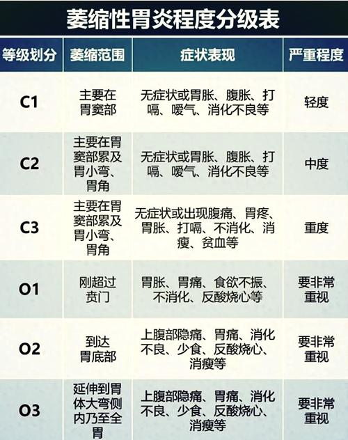 慢性胃炎中医病因病机及证候研究进展