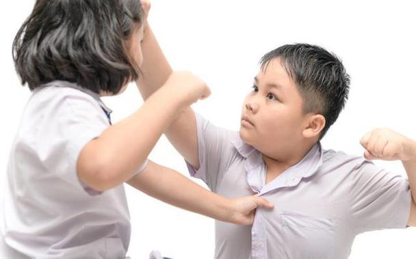 幼儿攻击性行为现状的调查研究