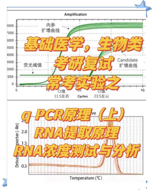 遗传性慢阻肺中α1-抗胰蛋白酶检测的研究进展