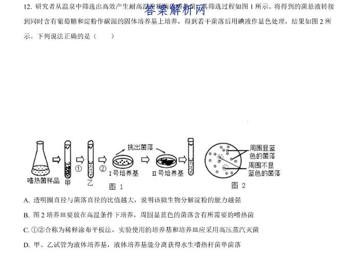 一株产淀粉酶嗜热菌的酶学性质研究