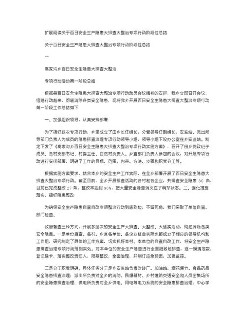 安全隐患大排查大整治专项行动的工作汇报