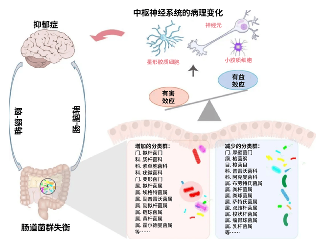 肠球菌耐药性分析及其耐药机制研究现状