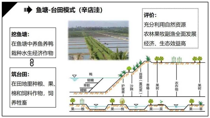 中国耕地轮作休耕:历史、实践与建议