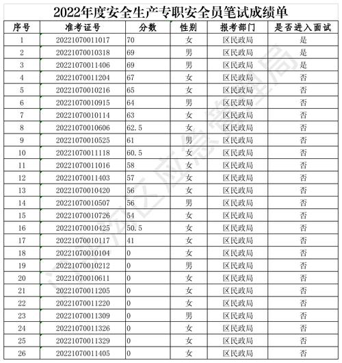 安全员主要工作业绩