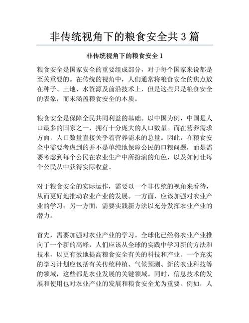 安全视角范文