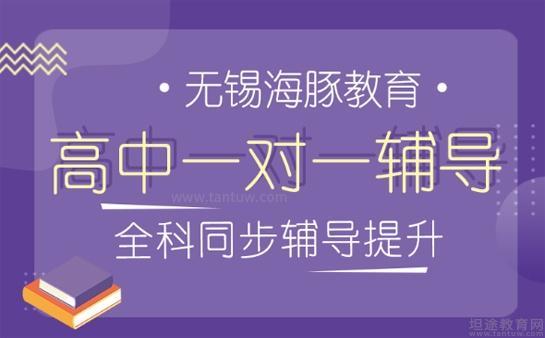 海豚一对一训练
