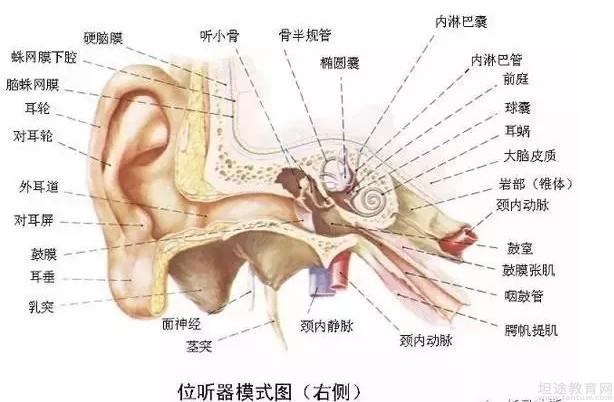 无锡天赋发现