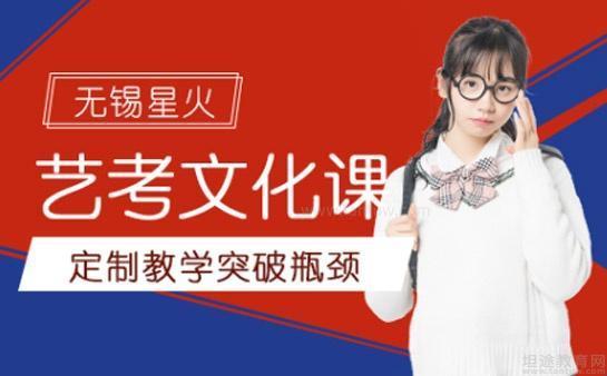 无锡星火艺考文化课