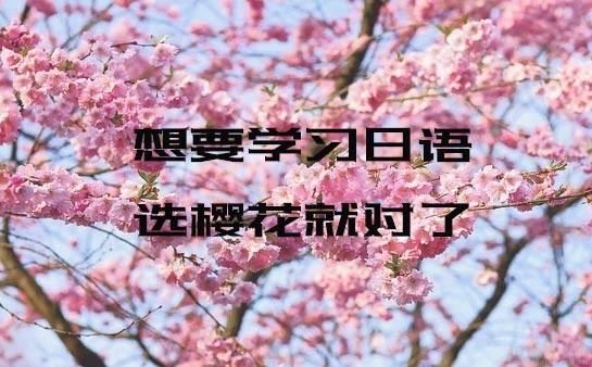 无锡樱花日语