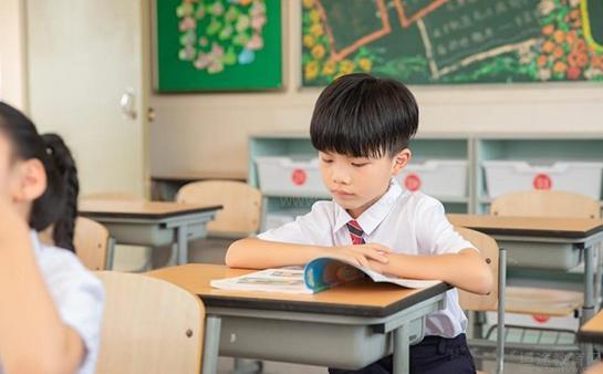 牛顿1+7教育