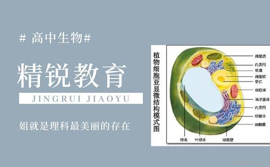 无锡精锐高端辅导