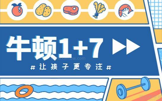 无锡牛顿1+7教育