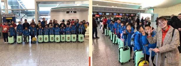 无锡龅牙兔