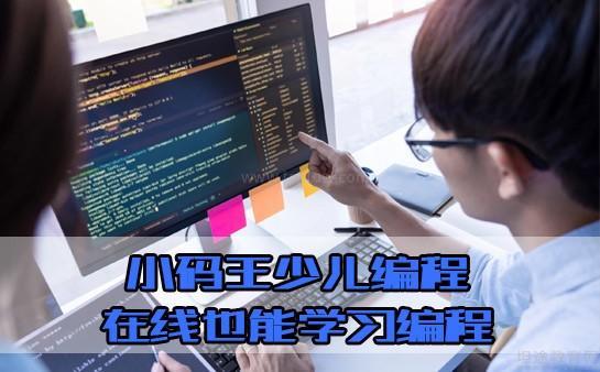 小码王少儿编程怎么样