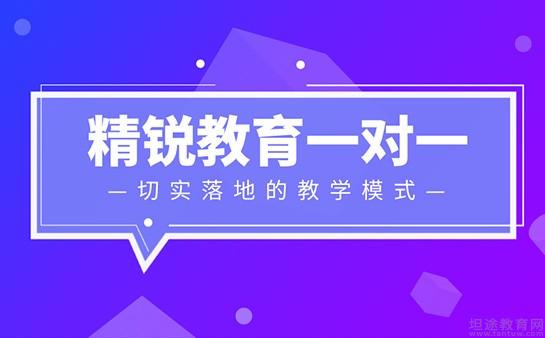 无锡精锐高端辅导