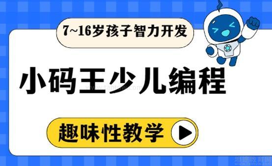 小码王编程