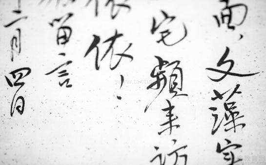 书法作品