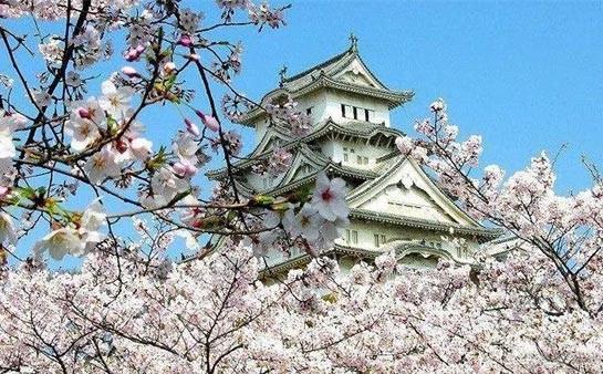 无锡樱花国际日语