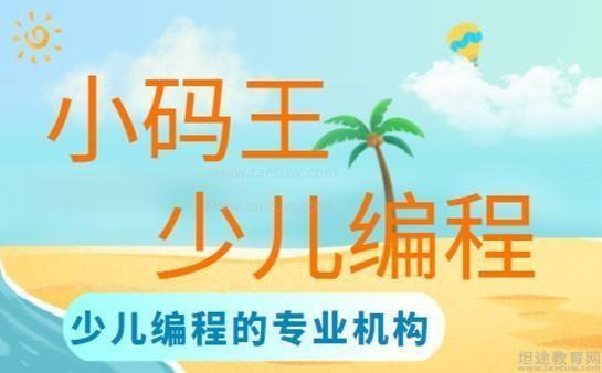 小码王编程